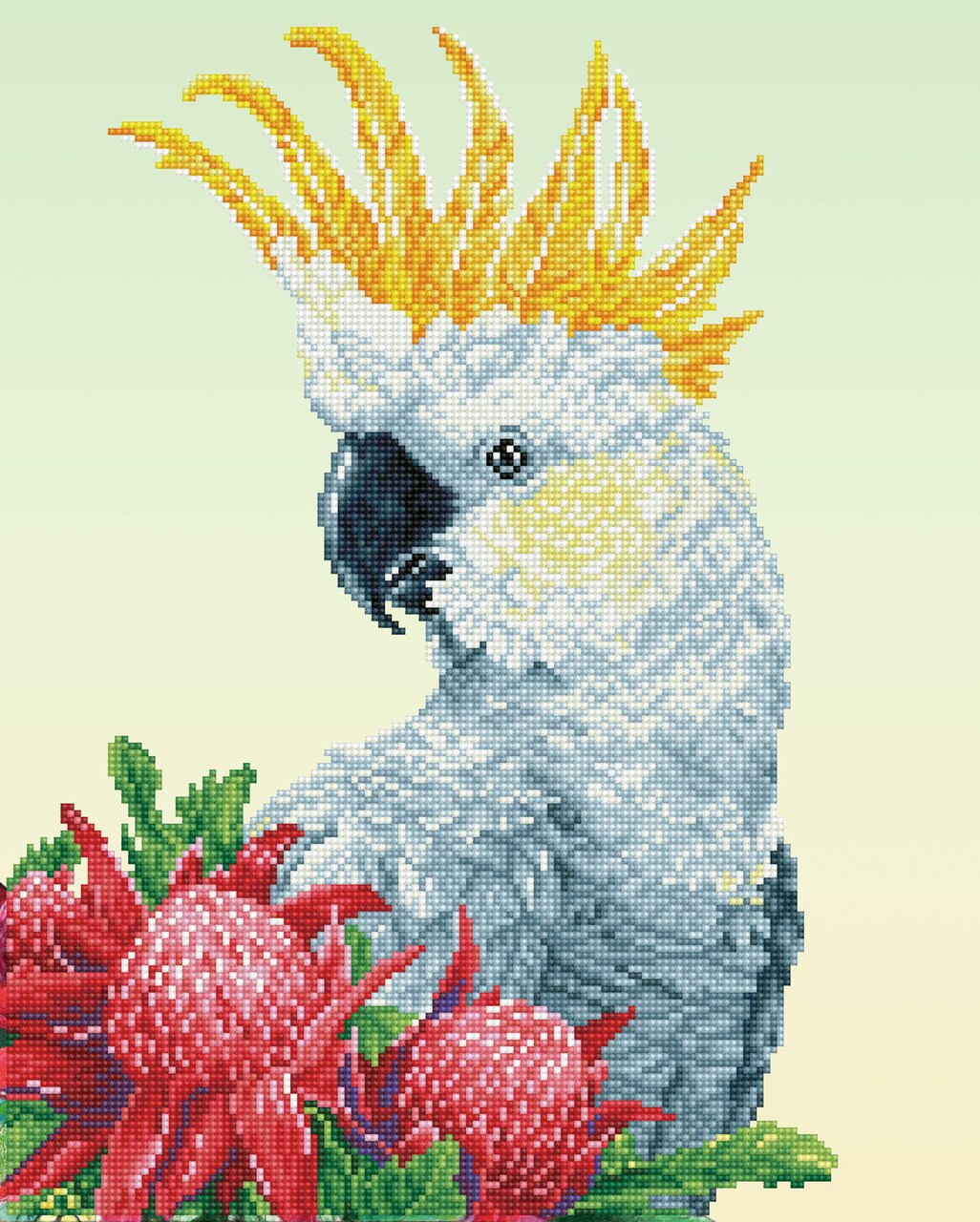 Diamond Dotz White Cockatoo & Warathas Bird Diamond Painting Kits for Adults - Diamond Art Kits a Relaxing Creative Craft Kit with Dotz Gems 16x20
